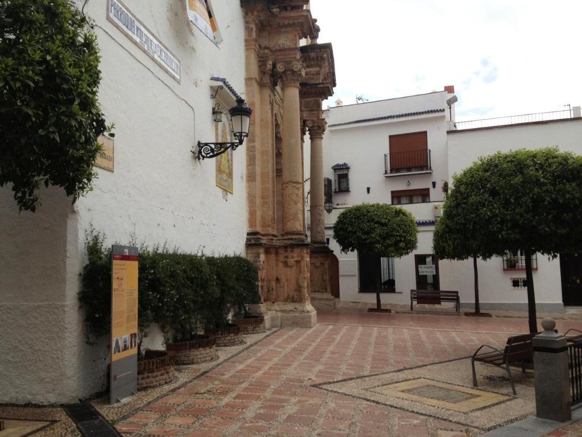 Alamo 6 Daire Marbella Dış mekan fotoğraf